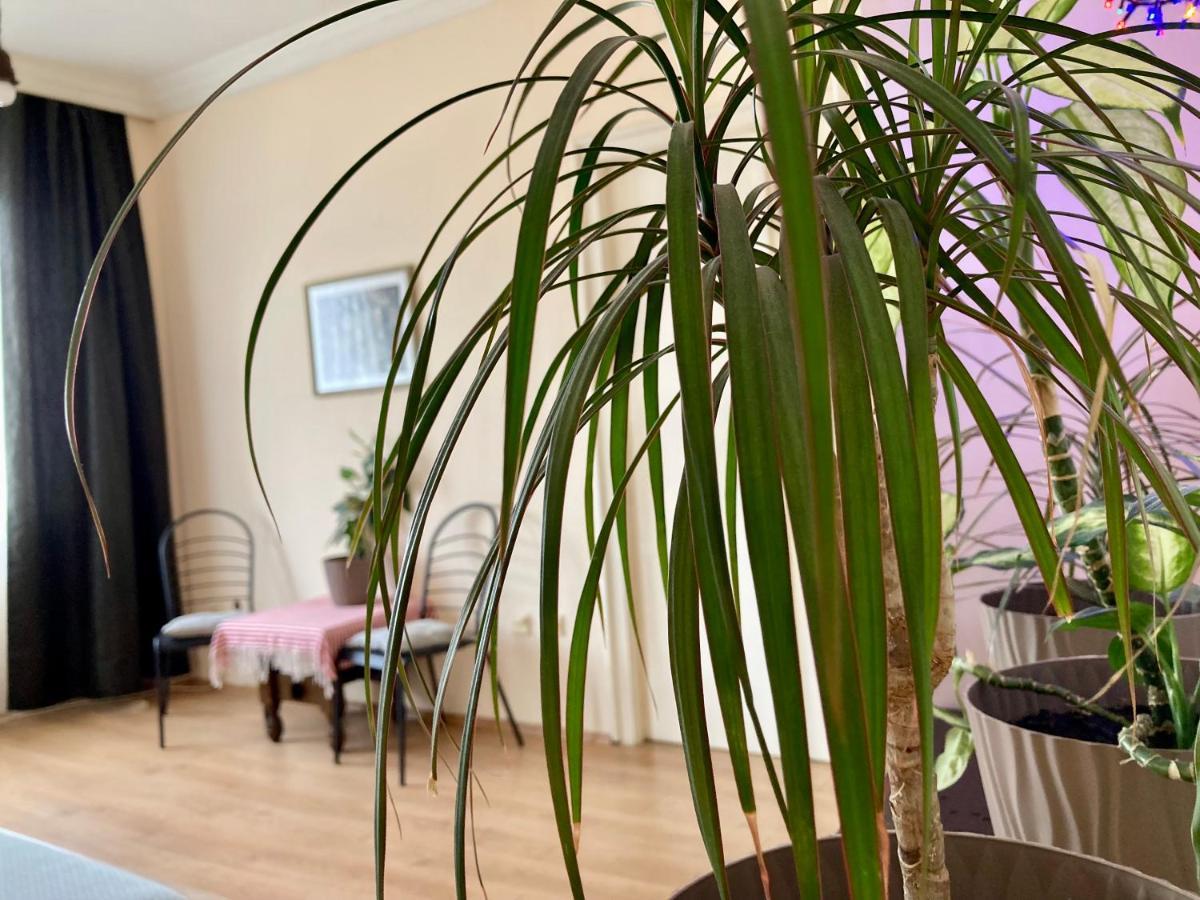 Terazije Square Lux Apartment بلغراد المظهر الخارجي الصورة
